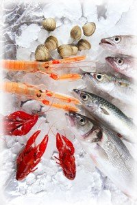 congeler des produits de la mer