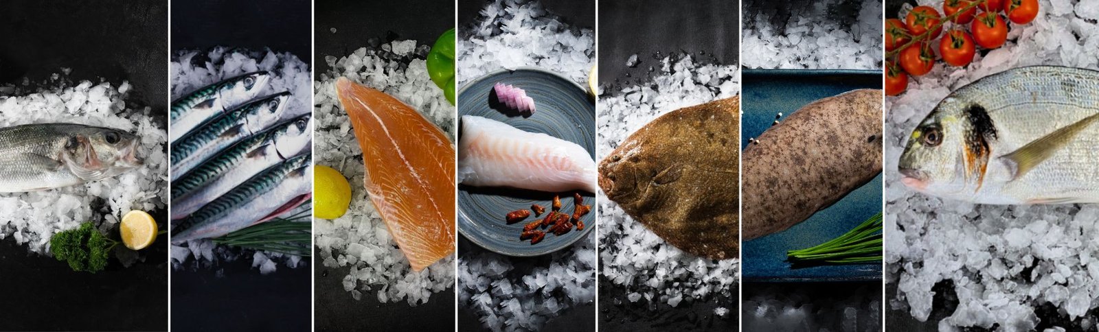 Poissons frais pour grillade, papillotes et ceviches