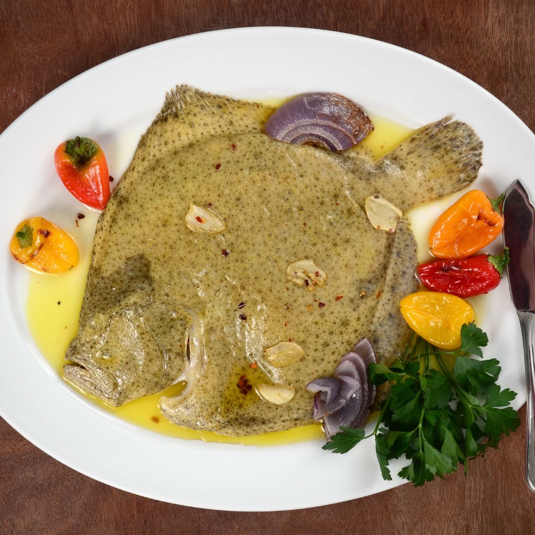Turbot (1)