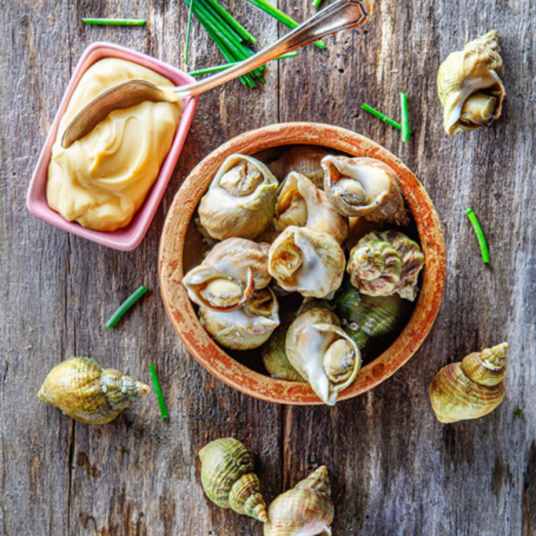 Bulots tiède aïoli maison