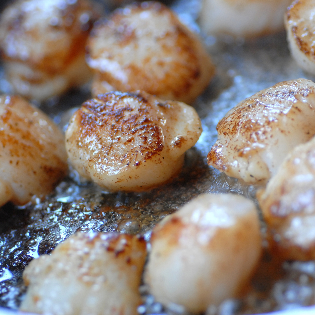 Noix de Saint-Jacques