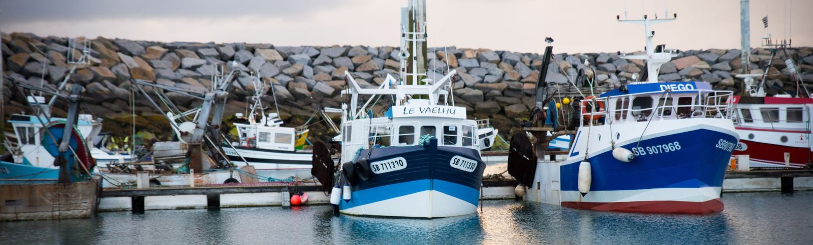 Bateaux de pêche Bateaux de pêche
