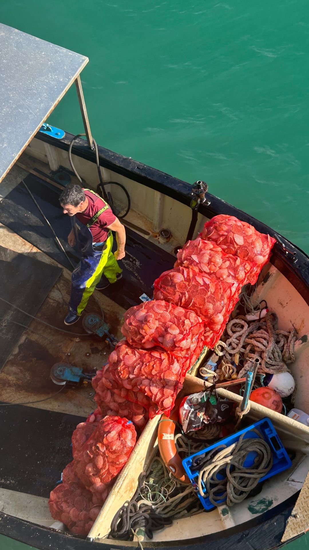 Coquilles Saint-Jacques Coquilles Saint-Jacques