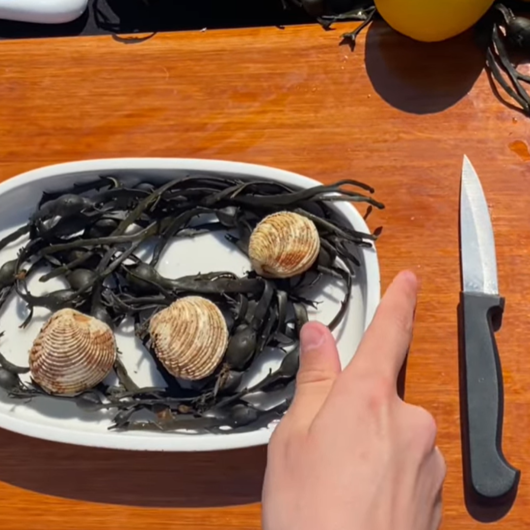 Le matériel nécessaire pour ouvrir une praire