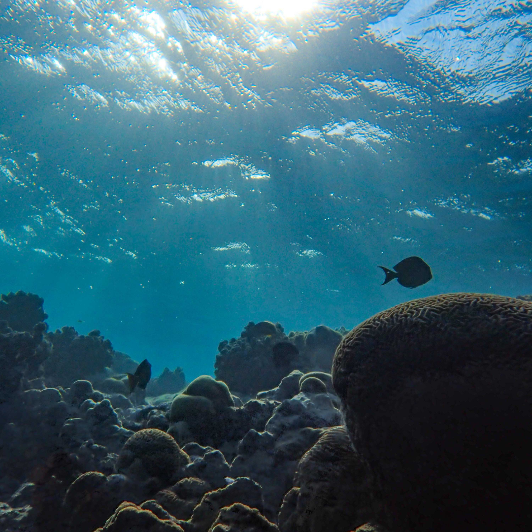 Les erreurs à éviter absolument