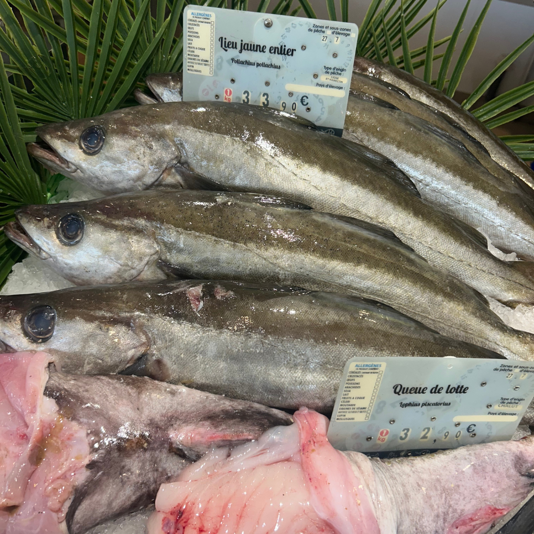 Yeux poisson Yeux poisson