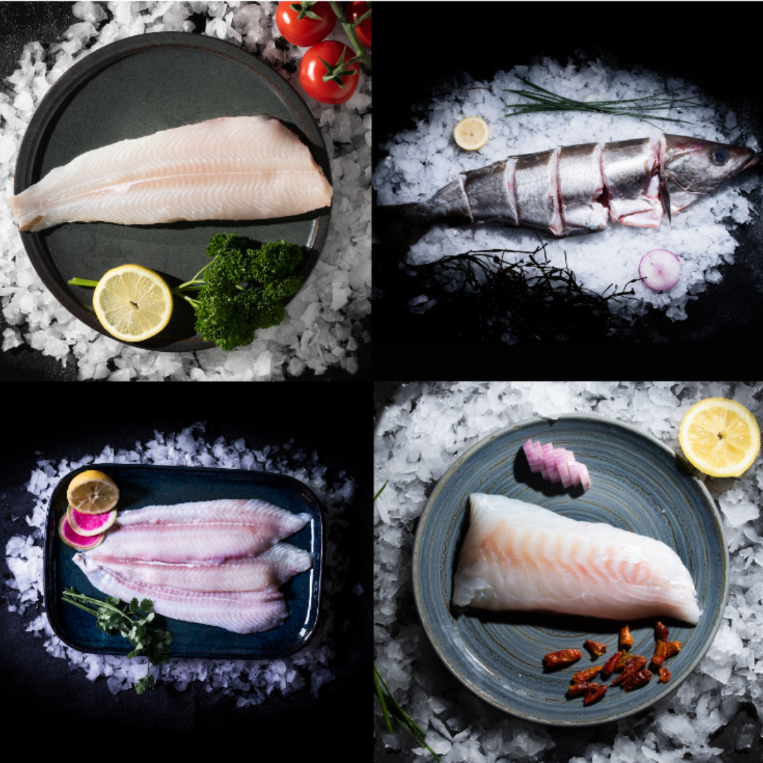 Colis de poisson pêche du jour