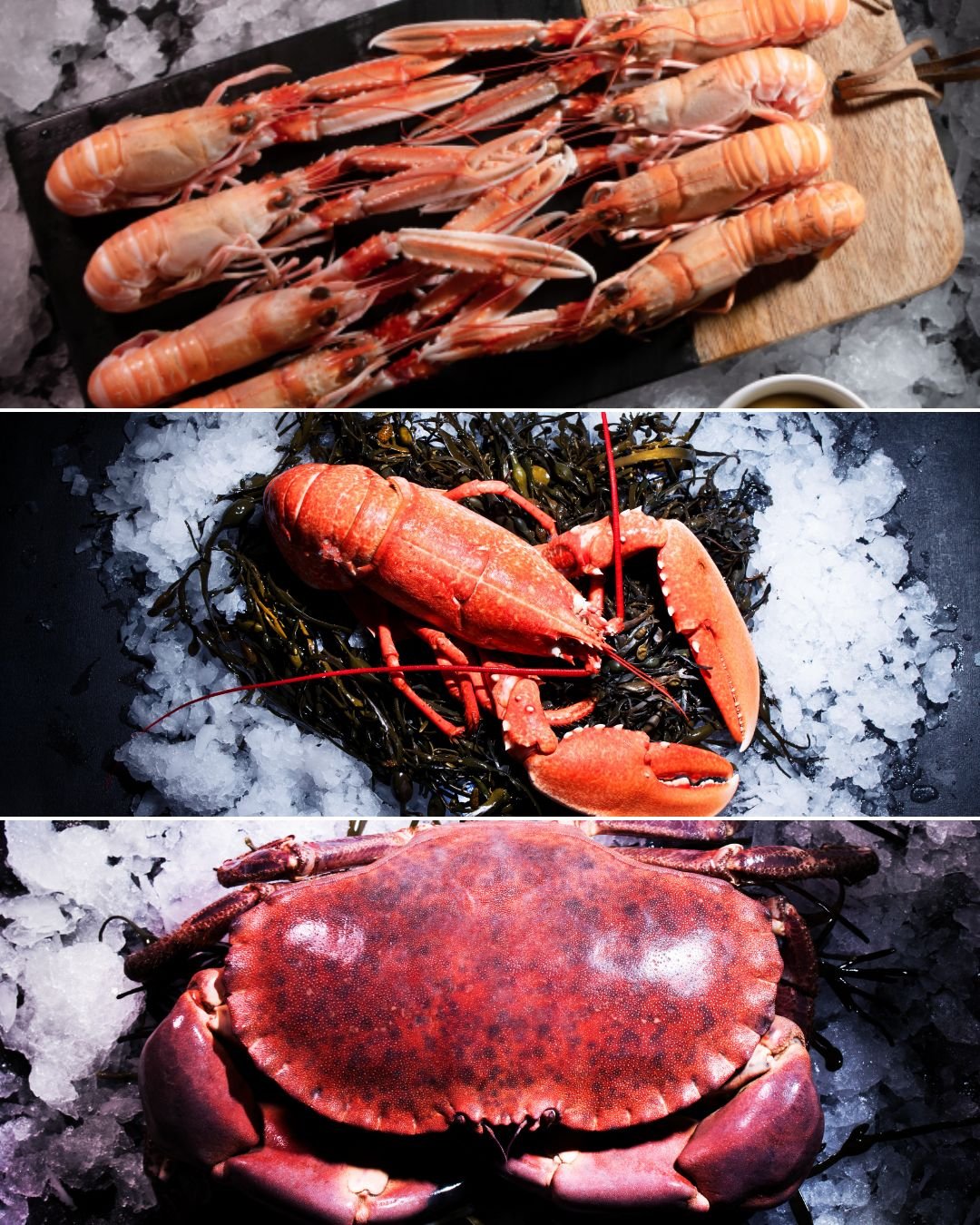 Homard, tourteau et langoustines