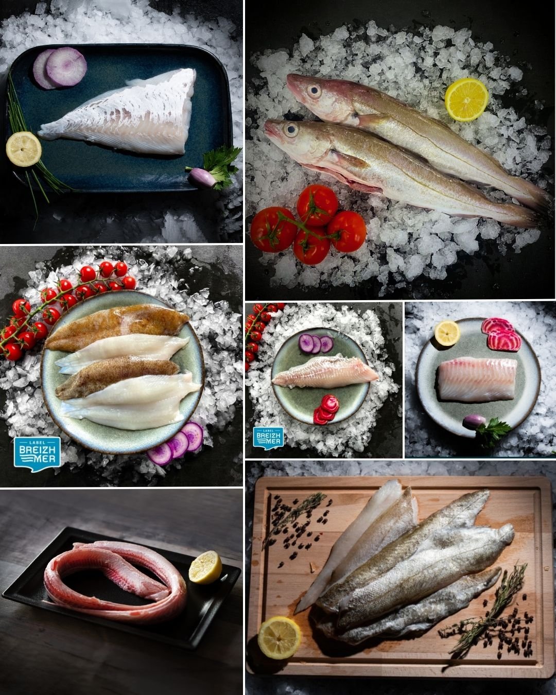 Poissons maigres