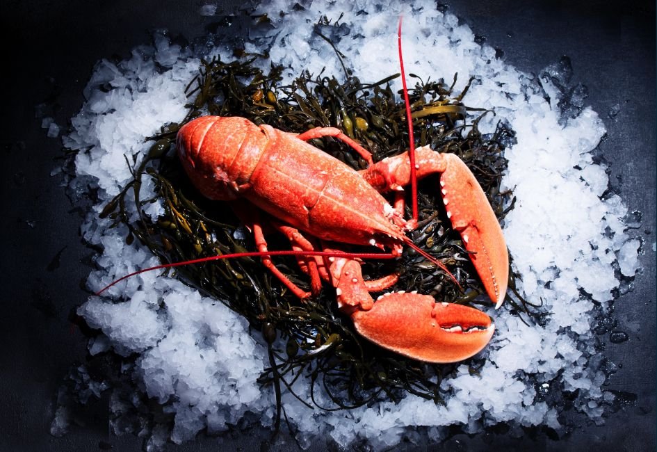 Homard