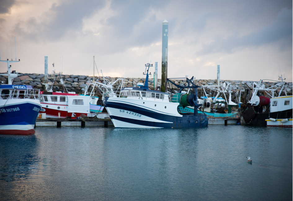 Les traditions maritimes bretonnes : entre pêche et artisanat