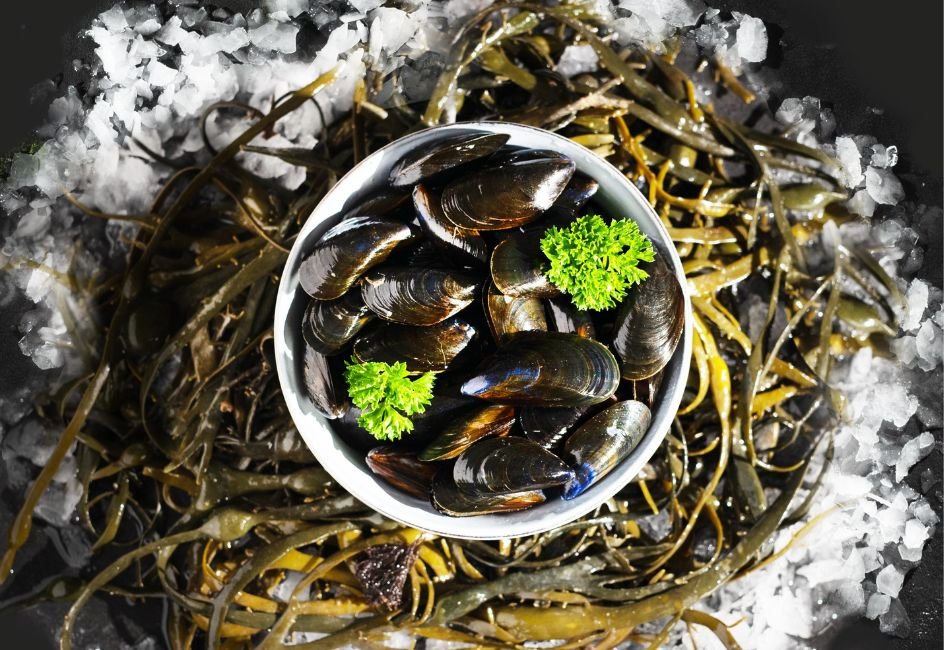 Le retour des moules de bouchot : la saison est ouverte !