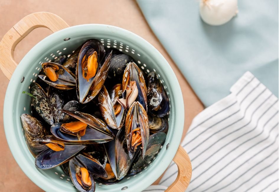 Comment se déroule la vie d’une moule ?