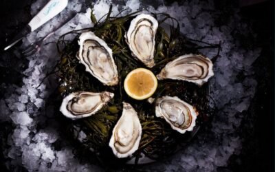 Production d’huîtres à Paimpol en Bretagne