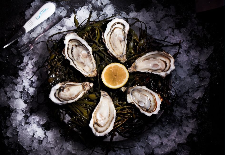 Production d’huîtres à Paimpol en Bretagne
