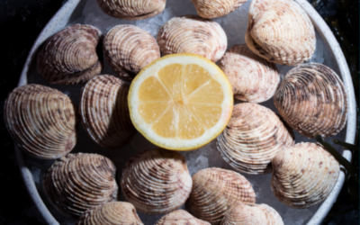 Les praires : ce coquillage raffiné fait son retour sur nos tables