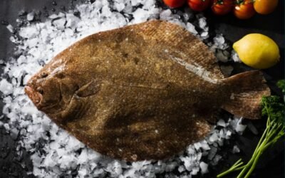 Tout savoir sur la barbue : cuisson, saveurs et astuces
