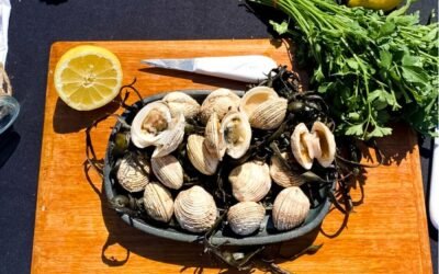 Comment ouvrir une praire facilement : technique simple et rapide