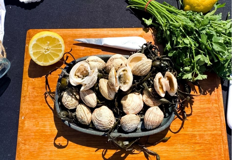 Comment ouvrir une praire facilement : technique simple et rapide