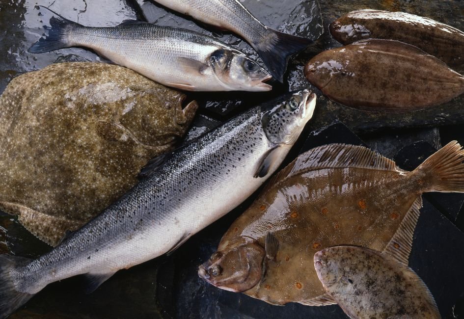 Comment reconnaitre un poisson ultra-frais en 5 étapes simples