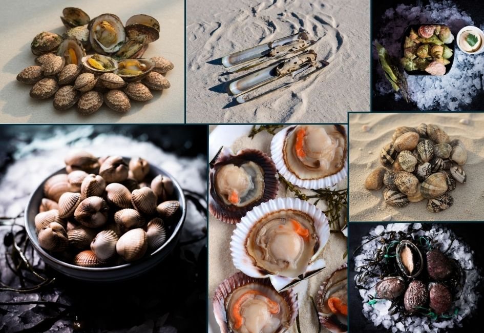 Vous ne mangez jamais ces coquillages méconnus…