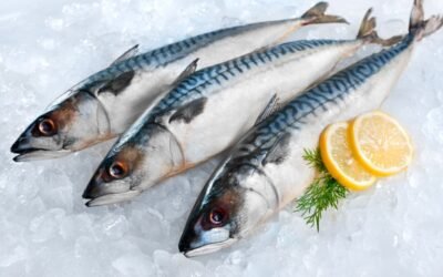 Combien de temps congeler les produits de la mer ?