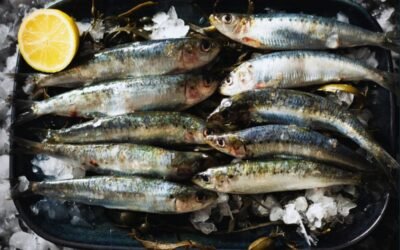 Comment cuisiner des sardines : 8 idées recettes faciles pour l’été